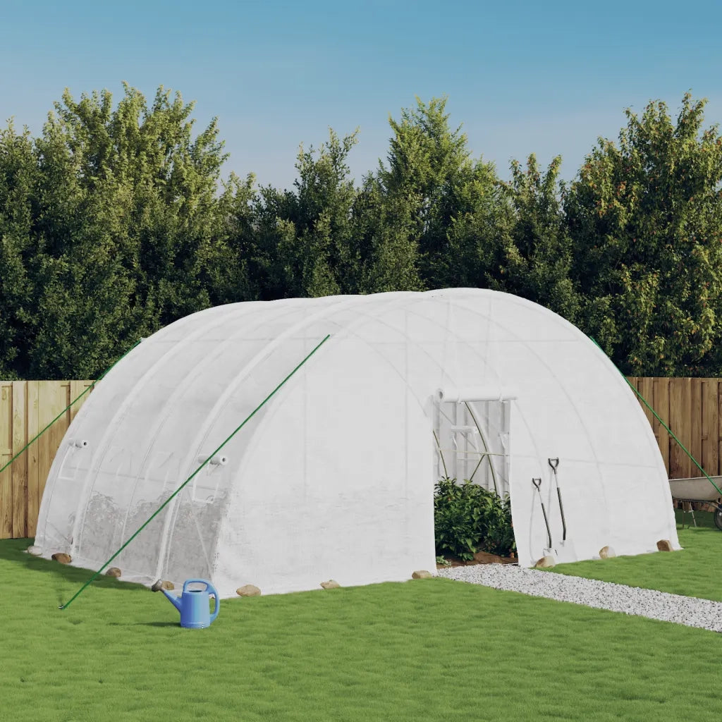 Serra con struttura in acciaio bianca 24 m² 6x4x2,85 m 3188116
