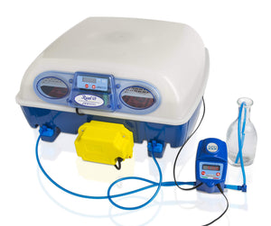 Incubatrice per Uova e Umidificatore Automatico Borotto Real 49 Expert