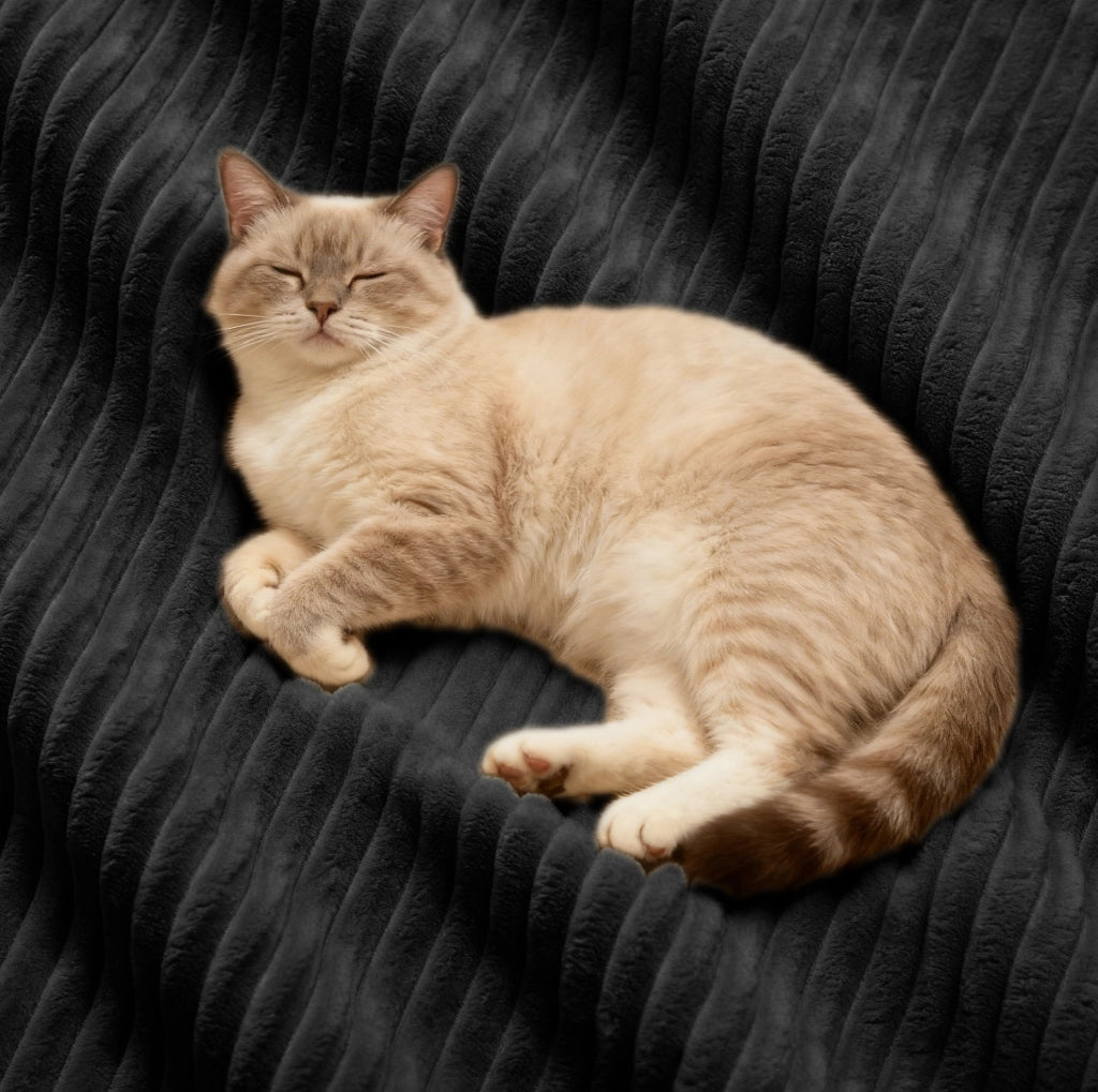 Divano modulare senza montaggio 382x104x69 cm in velluto a coste nero con seduta profonda