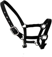 Cintura per Cavallo Adattabile - Disegno di Cavallo - Rivestito - Nylon - Per Puledro/Poni/Asino - Duraturo e Flessibile - Cintura per Cavallo
