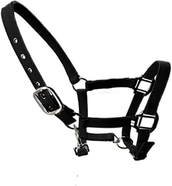 Cintura per Cavallo Adattabile - Disegno di Cavallo - Rivestito - Nylon - Per Puledro/Poni/Asino - Duraturo e Flessibile - Cintura per Cavallo