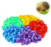Anelli per polli 250 pezzi - Anelli per pollame - Riciclabili - Resistenti/Duraturi - Marcature di identificazione per polli - Materiale PP
