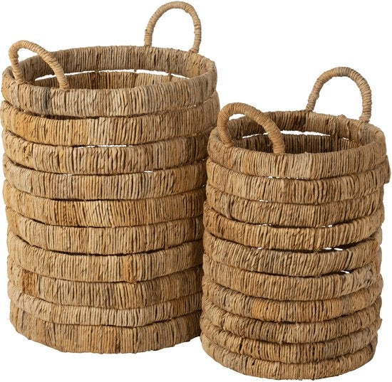 Cilindri J-Line per fiori d'acqua - giacinto - naturale - 2 pezzi