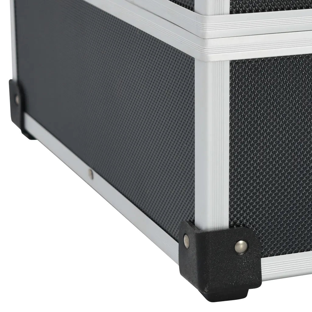 Valigetta per Attrezzi 46x33x16 cm Nera in Alluminio CFW2316965