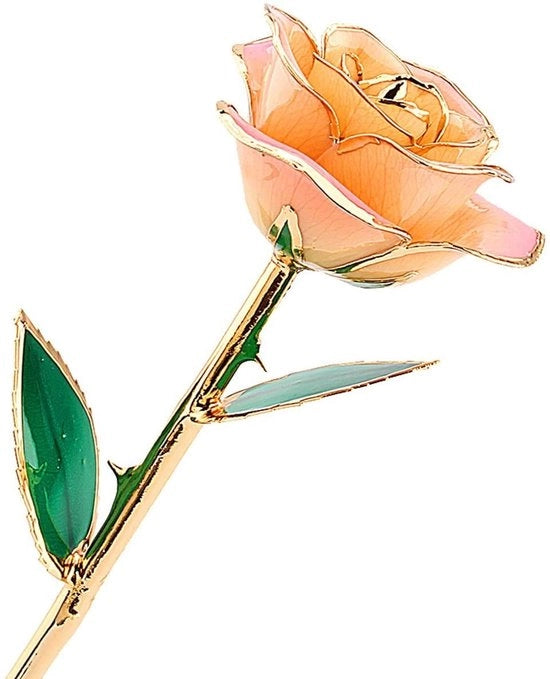 24K Vergulde Roos - Perenne - Champagne - Regalo di Lusso per L'amore
