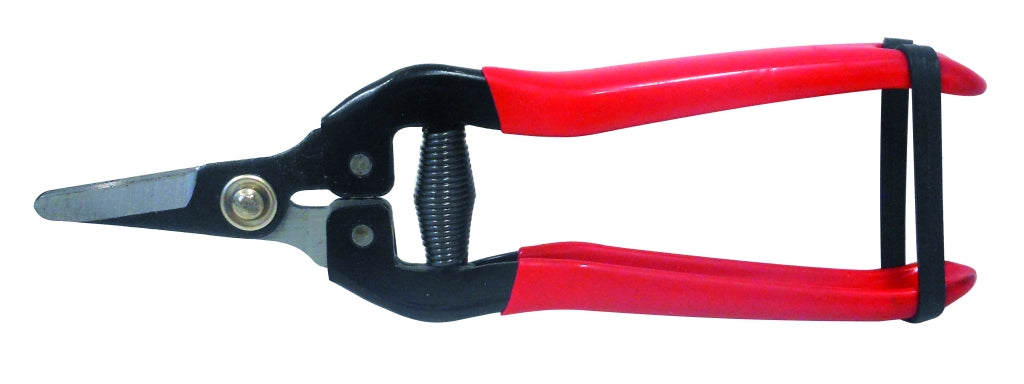 Utilia FORBICI COGLIUVA LAMA CURVA cm. 16 10.00 pz