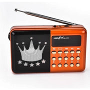 Trade Shop - Radio Fm Rs-010u Lettore Musicale Player Portatile Microsd Mmc Usb Aux -