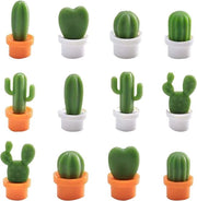 12 pezzi di cactus in forma di bol magnetici per frigorifero - carine piante mini adesivi magnetici - decorazione per cucina soggiorno ufficio.