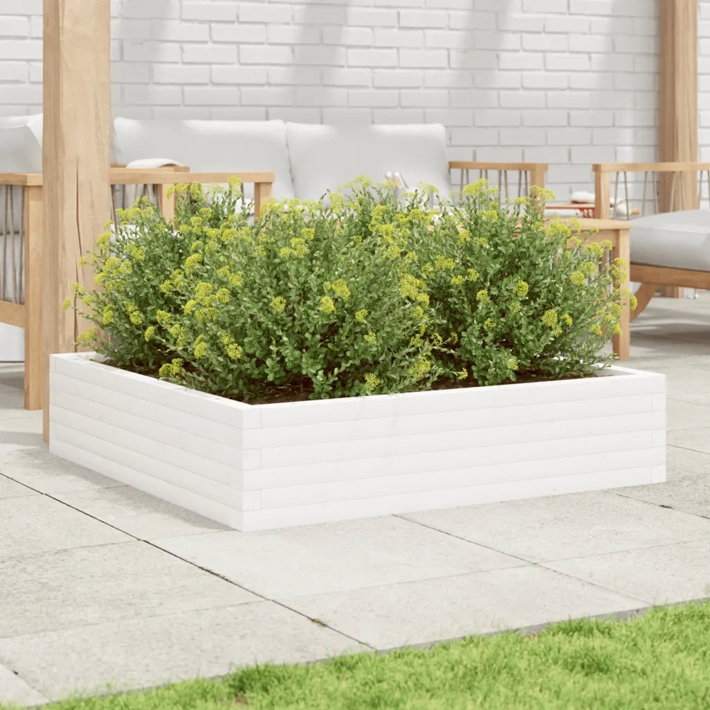 Fioriera da Giardino-Vaso da Esterno Bianca 100x100x23 cm Legno Massello Pino