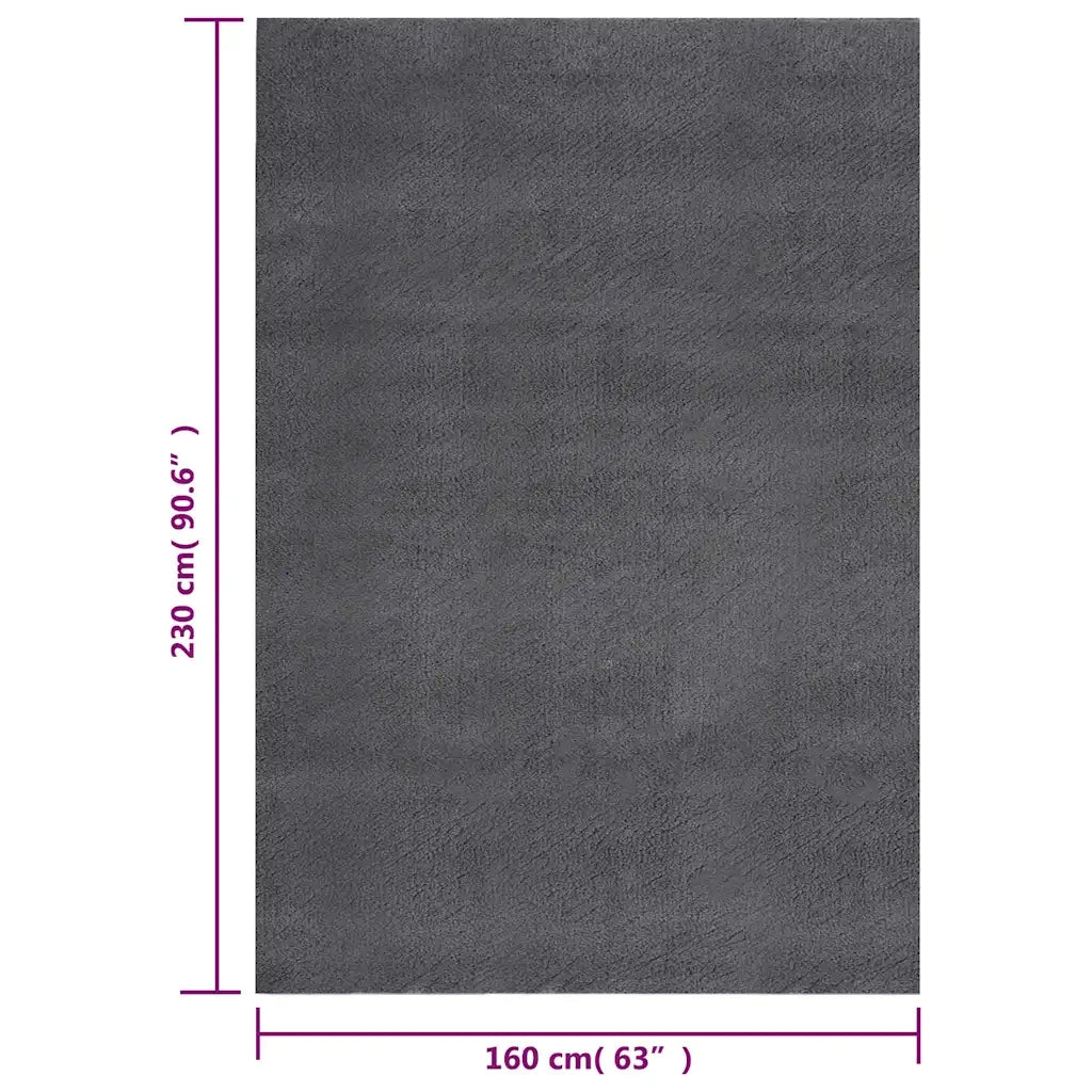 Tappeto Soffice Pelo Corto 160x230 cm Antiscivolo Antracite 342190