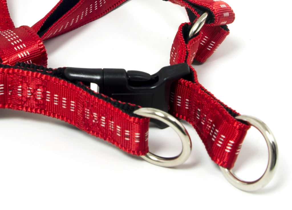 Pettorina Per Cani Regolabile E Resistente Modello Color Doggy - M - Rosso