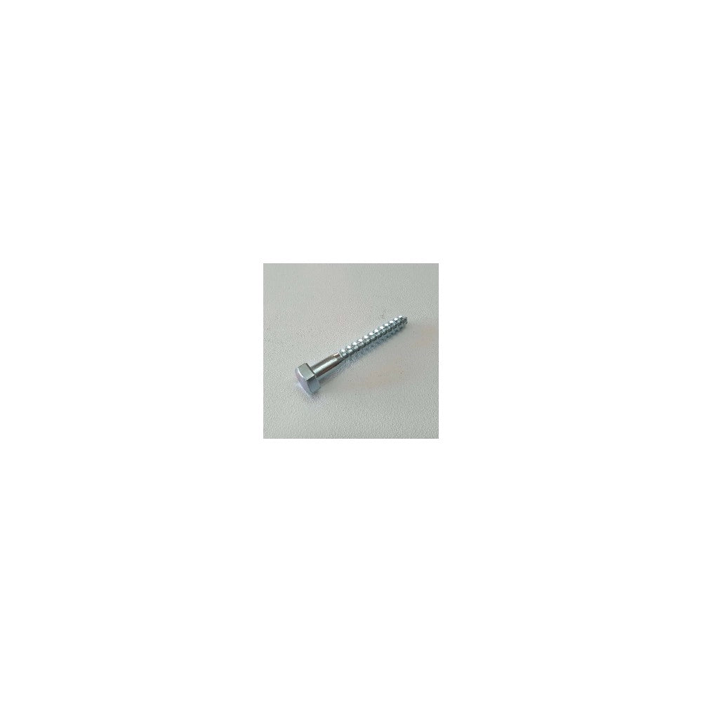 Vite 8x120mm - 20pz per legno mordente tirafondo testa esagonale te