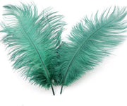 Veri di Struzzo Naturali - 10 Pezzi - Verde Scuro - Accessori per la Cucina - Decorazione per la Casa