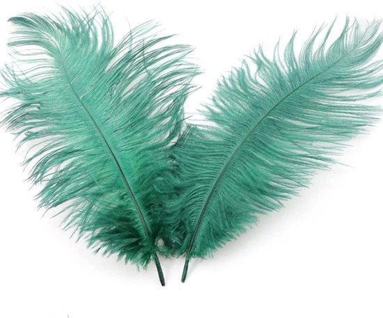 Veri di Struzzo Naturali - 10 Pezzi - Verde Scuro - Accessori per la Cucina - Decorazione per la Casa