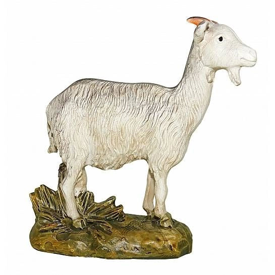 CAPRETTA PRESEPE 16CM