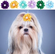 Accessori per animali - Elastici per capelli resistenti - 30 pezzi - Non tossici - Disponibili in diverse colori - Adatti per cani - Adatti per gatti - Accessori per cani