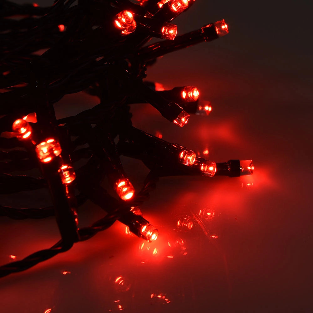 CATENA LUMINOSA NATALIZIA CON 100 LED ROSSI SU CAVO VERDE - PERFETTA PER ADDOBBI ALBERO DI NATALE E DECORAZIONI FESTE