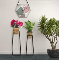 Portavasi Square Coppia cm Ø 23X70-20X60