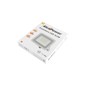 Proiettore LED Bianco 200-265VAC 30W 6000K