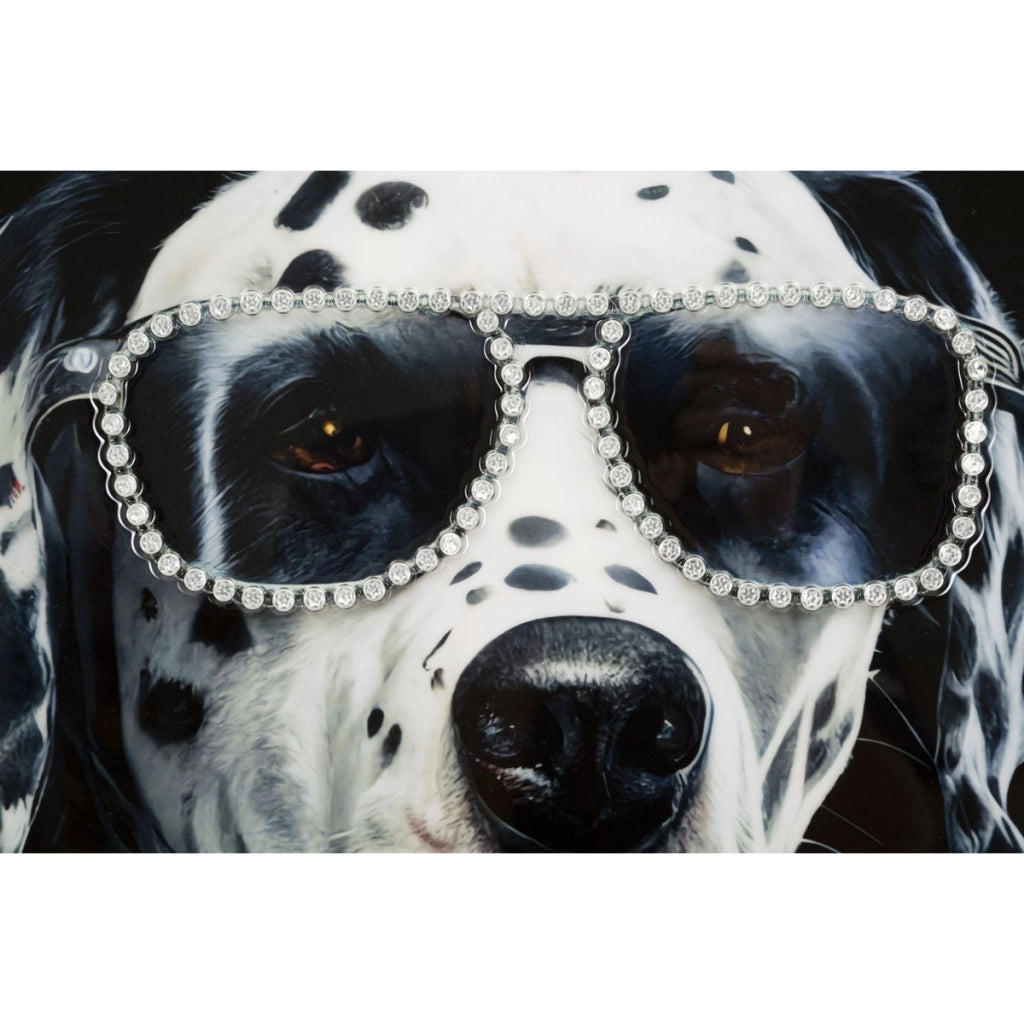 Stampa su Tela Dalmata, Multicolore, Legno, 53x3x73 cm