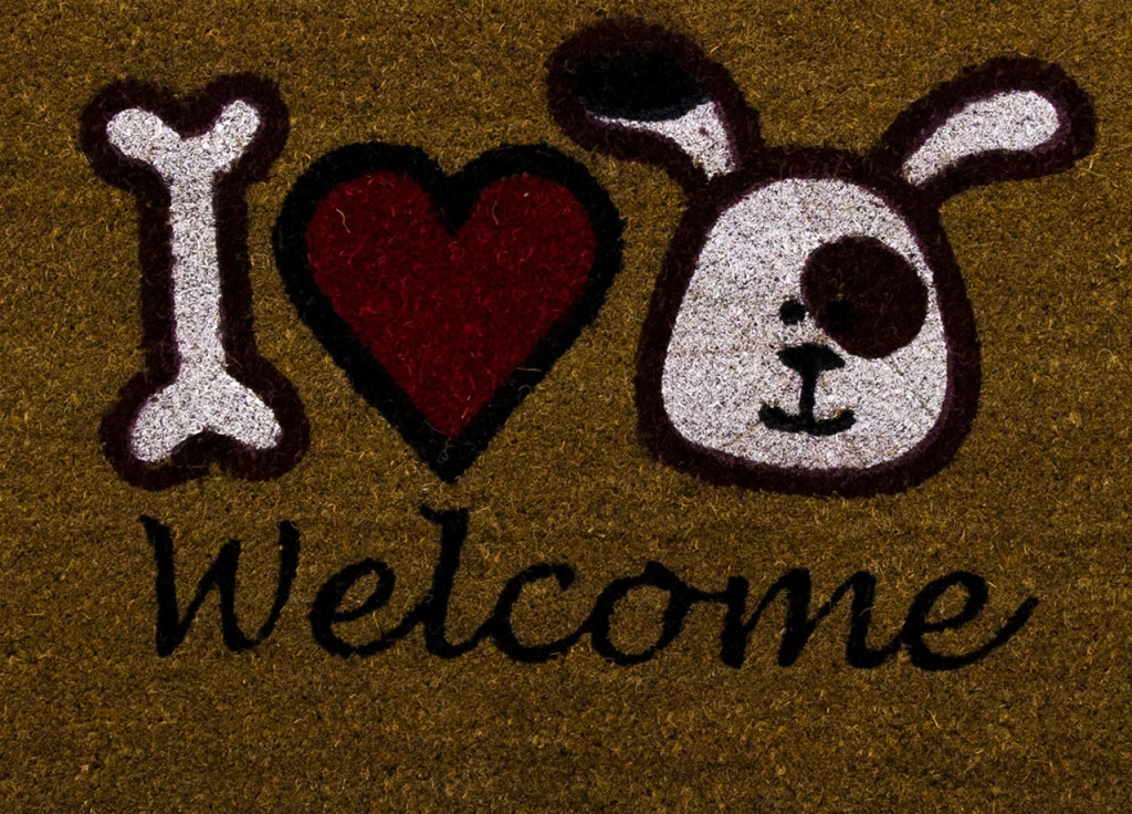 Zerbini Entrata Ingresso Casa Da Esterno Antiscivolo In Cocco Varie Fantasie - 70x40 - Welcome Dog