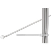 FASCETTE FERMACAVI TRASP 200X2.5CM 100PZ