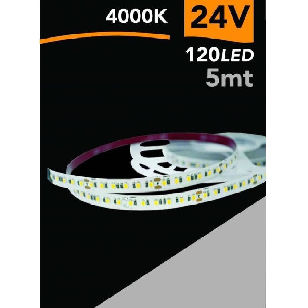Trade Shop - Striscia Led 2835 Strip 5 Mt 24v 120 Led Smd Luce 3000k 4000k 6500k 2835-24v-5mm -