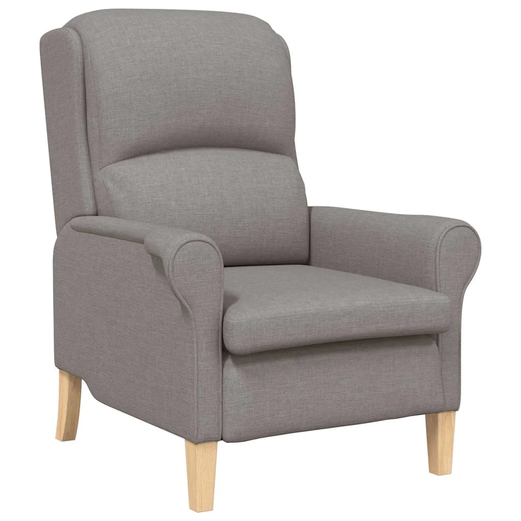Divano Sedia-Poltrona Talpa Tessuto 749514