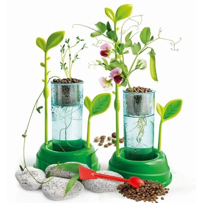 CLEMENTONI Science & Game - Botanica e coltura idroponica - Gioco scientifico