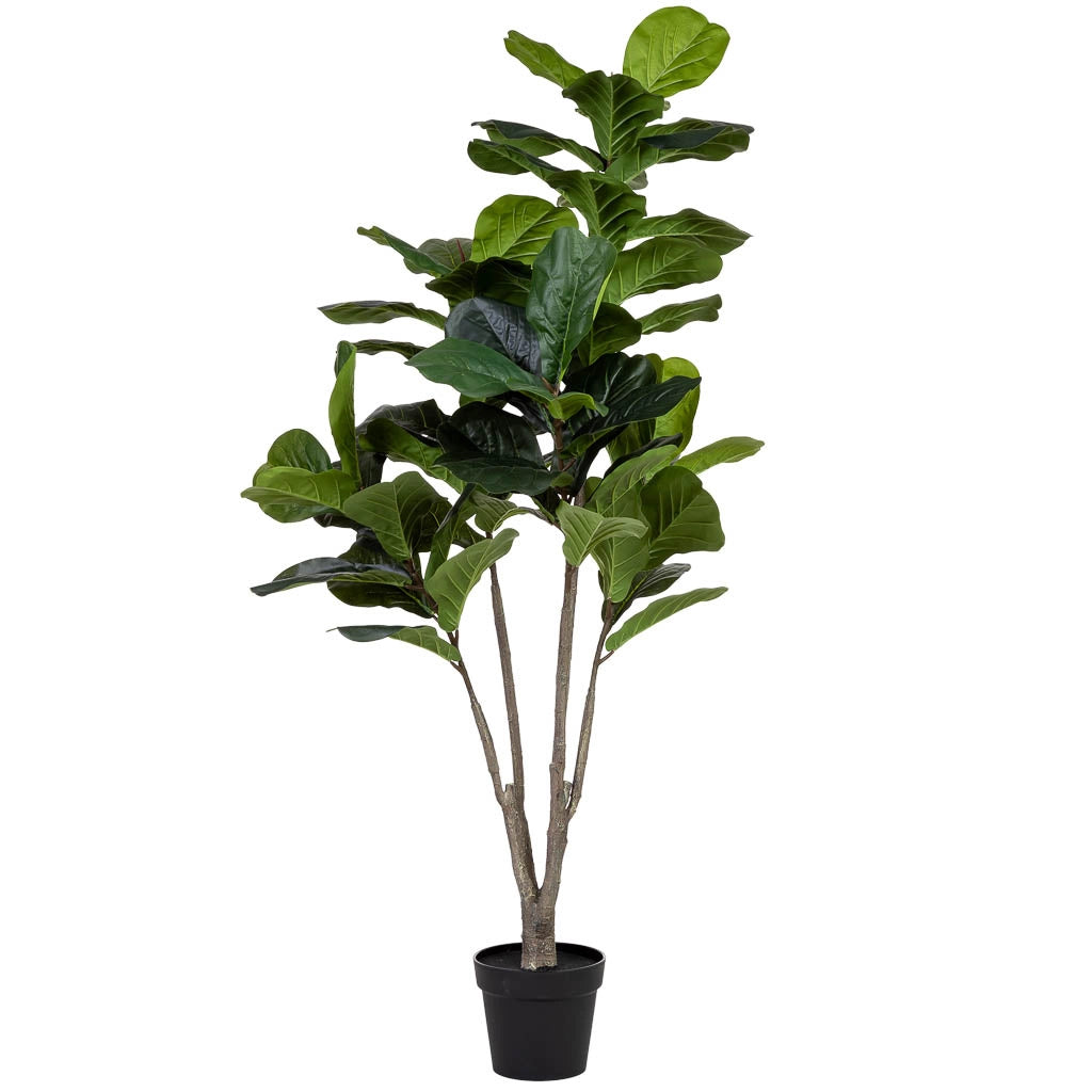 Ficus liata artificiale decorativo verde con 66 foglie verde 89x89x150