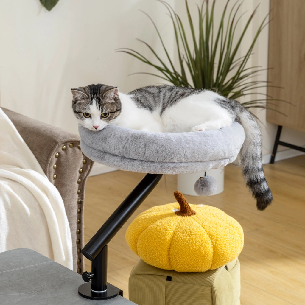 Letto per gatti con scrivania regolabile ¨C zephmum ¨C Grigio 45x60x20 cm