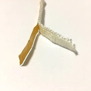 Nastro vetro stufa a pellet Guarnizione piatta adesiva in fibra di vetro 10*4 mm - COLORE BIANCO