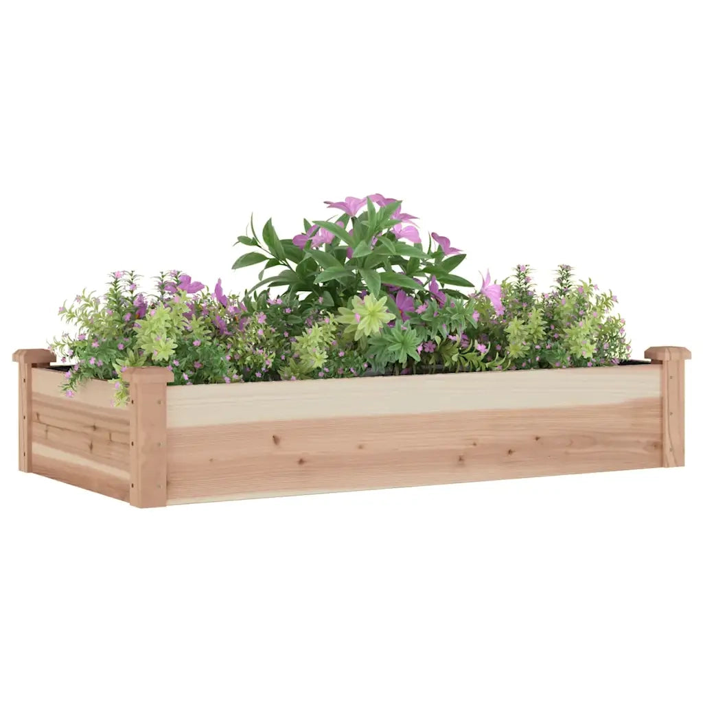 Fioriera | Cassetta per fiori | Vaso Rialzata da Giardino Fodera 120x60x25cm Massello Abete