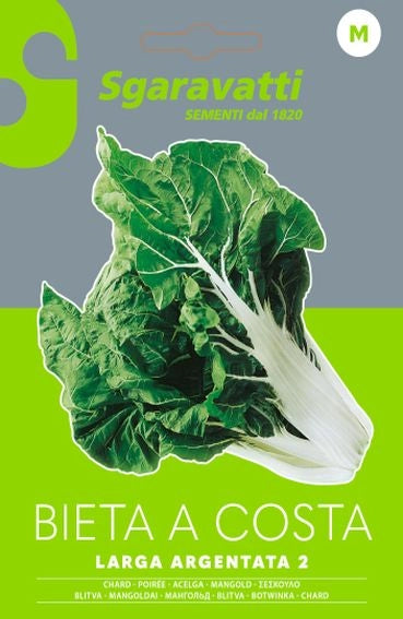 SEMI PER ORTAGGI E VEGETALI bieta verde costa larga argentata- 10 pezzi  - SGARAVATTI
