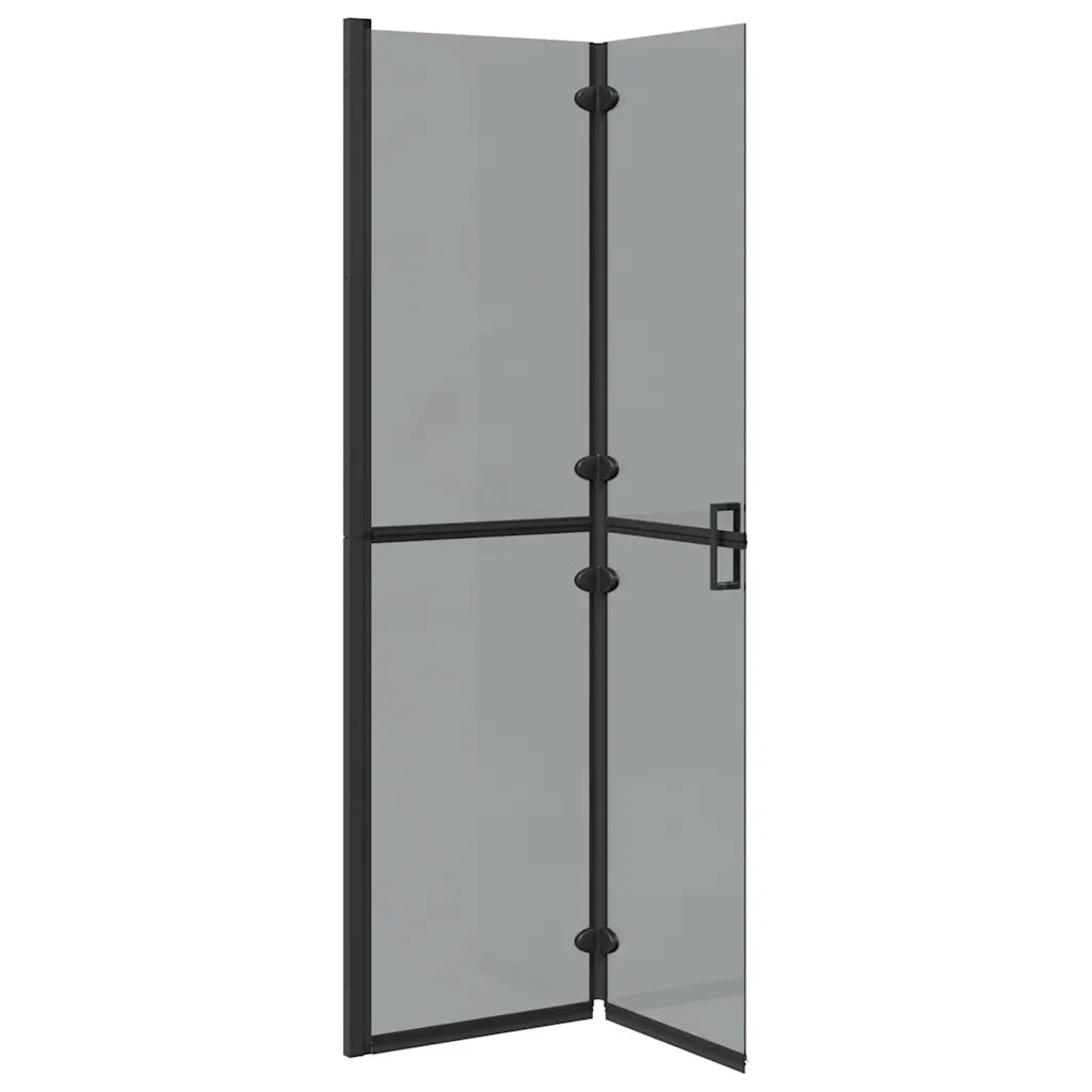 Parete doccia walk-in Nero 100 x 6,5 x 190 cm CFW6036916