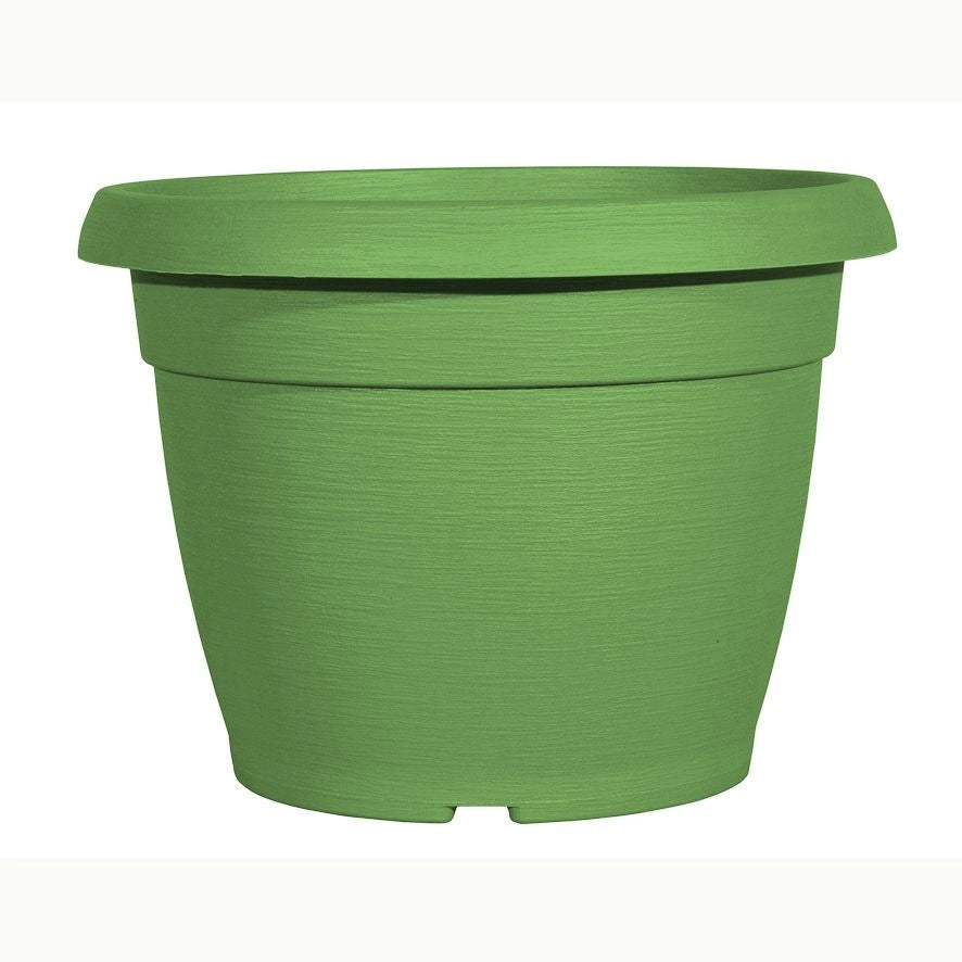 VASO SIMILCOTTO SPAZZOLATO D30 NEWSALVIA EXTRA