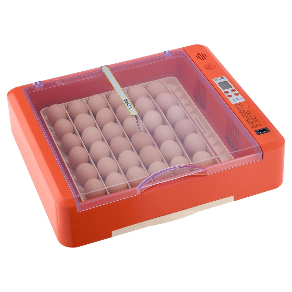 Incubatrice Automatica per 36 Uova in ABS e PET con Candela a LED Display Temperatura e Controllo Umidità