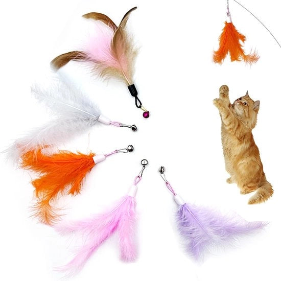 Set di 5 Giocattoli per Gatti con Asta da Pesca e Piume Naturali per Ricaricare