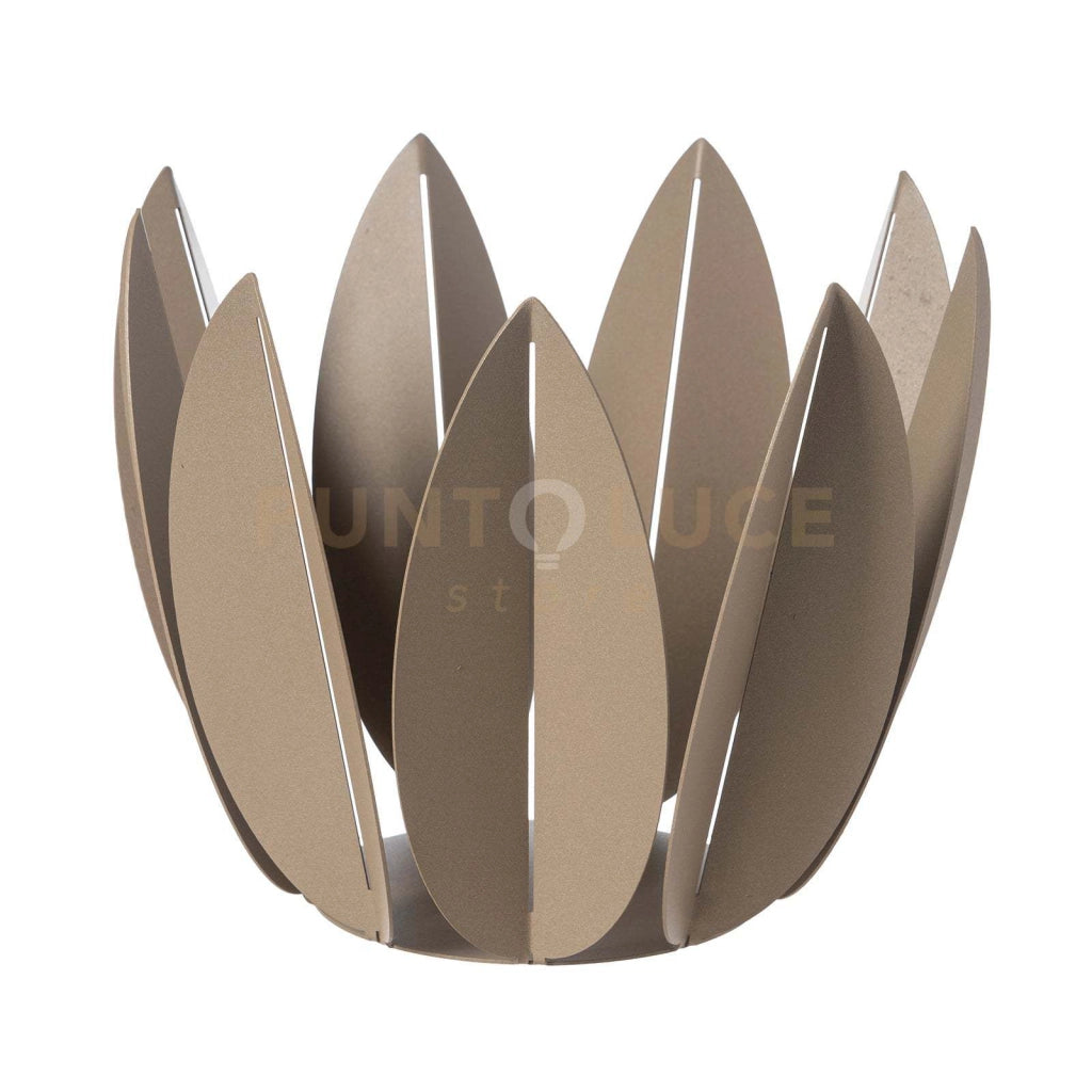 Agrumiera Ficus Beige