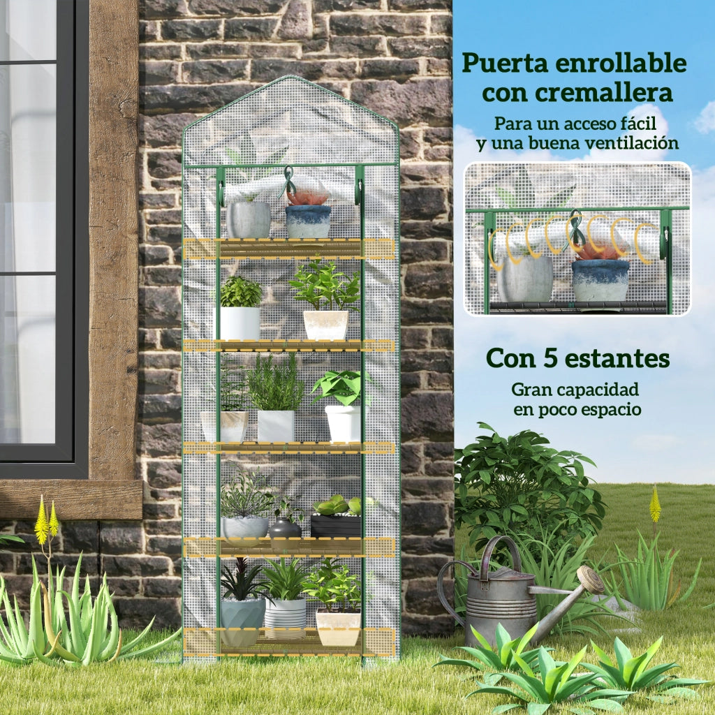 Serra da Giardino 5 Ripiani ¨C Zephmum ¨C 69x49x193 cm Trasparente