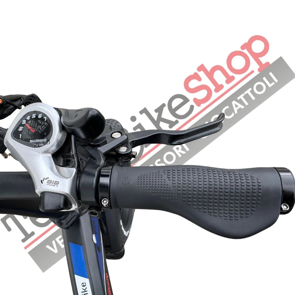 Bici Elettrica Pieghevole E-BIKE Fat Bike RKS RD08 Sport Bike Dallas Luxury 250w 48v-Rosso