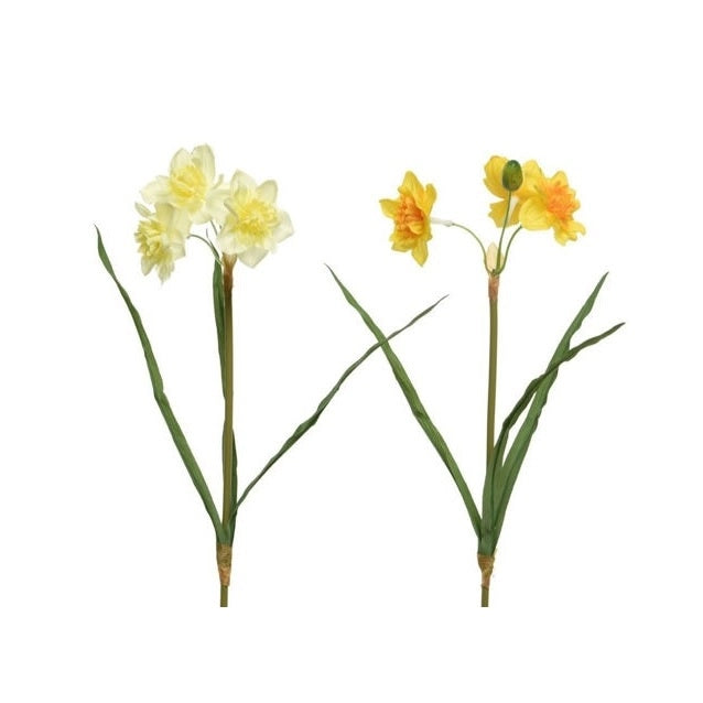 NARCISO 40CM