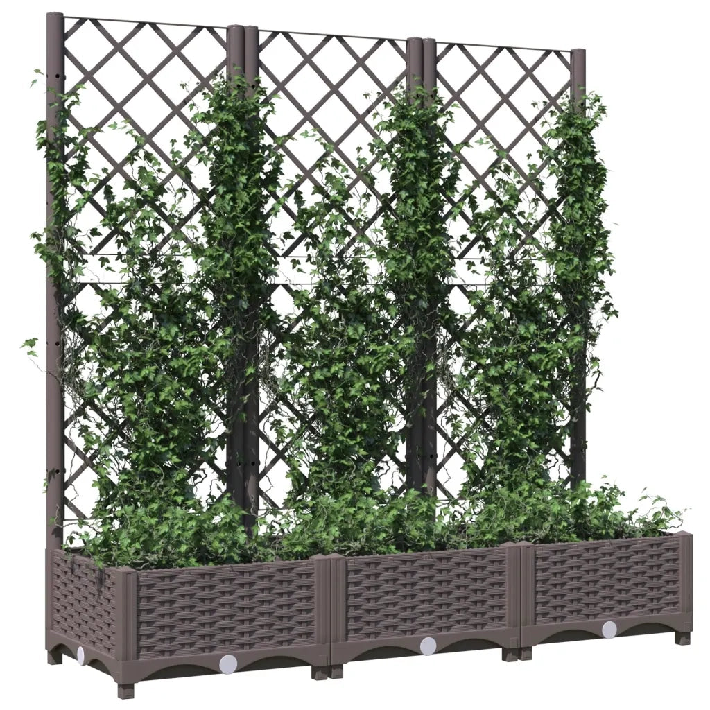 Fioriera da giardino con traliccio marrone 120x40x121,5 cm PP 318262