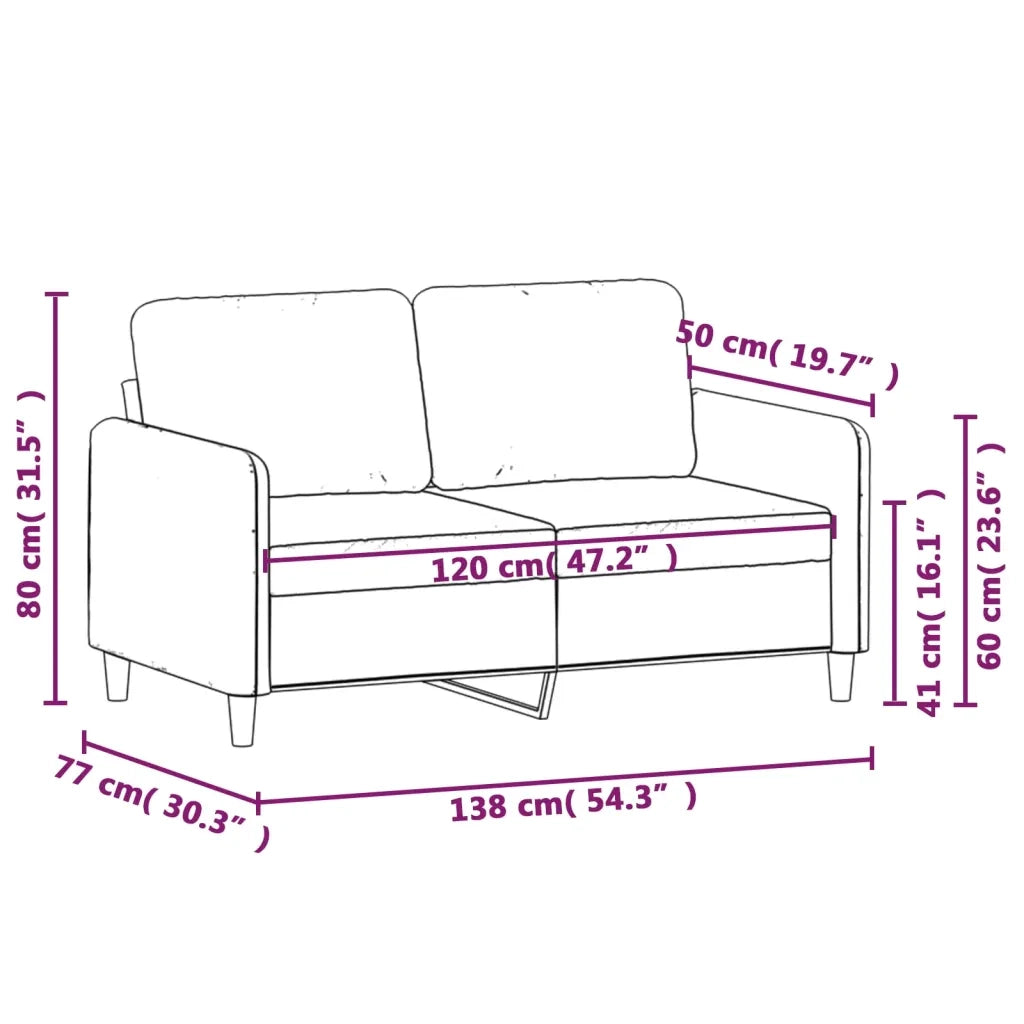 Divano a 2 Posti Grigio Chiaro 120 cm in Velluto 349033