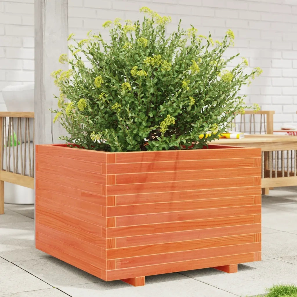 Fioriera Giardino-Vaso da Esterno-Contenitore per Piante Marrone Cera 70x70x49,5cm Legno Massello Pino 684523