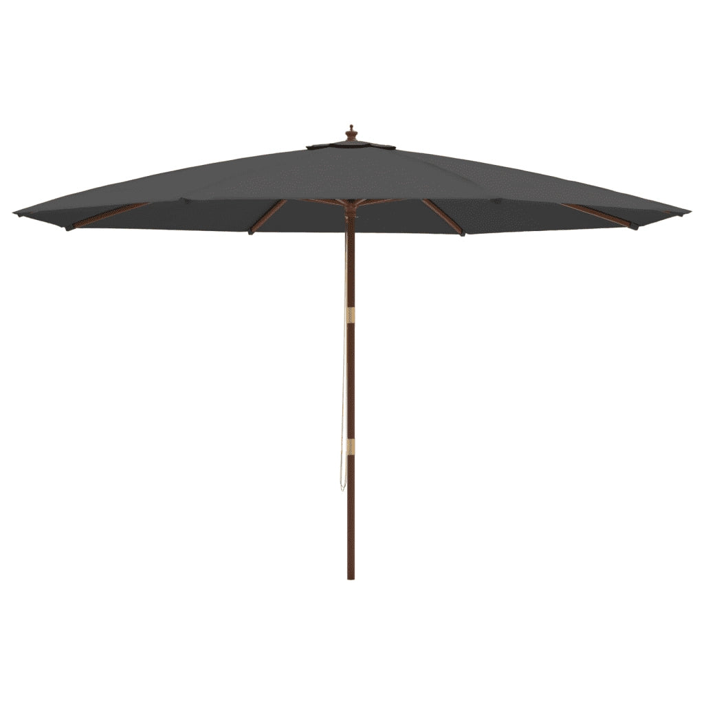 Ombrellone da Giardino con Palo in Legno Antracite 400x273 cm 363177