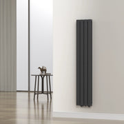 Termosifone Nore ad Acqua Calda Pannello Doppio con Elementi Piatti 160 x 30 cm Nero [neu.haus]