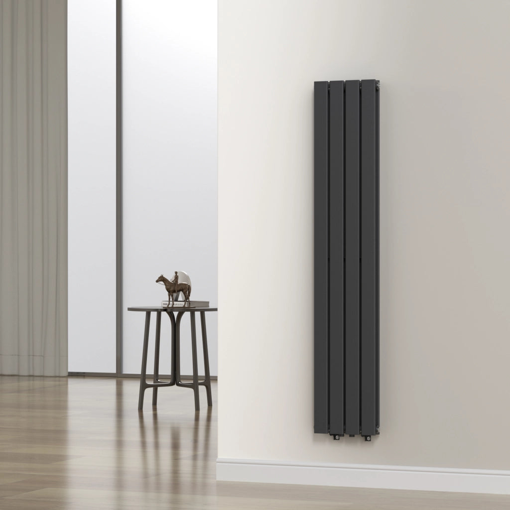 Termosifone Nore ad Acqua Calda Pannello Doppio con Elementi Piatti 160 x 30 cm Nero [neu.haus]