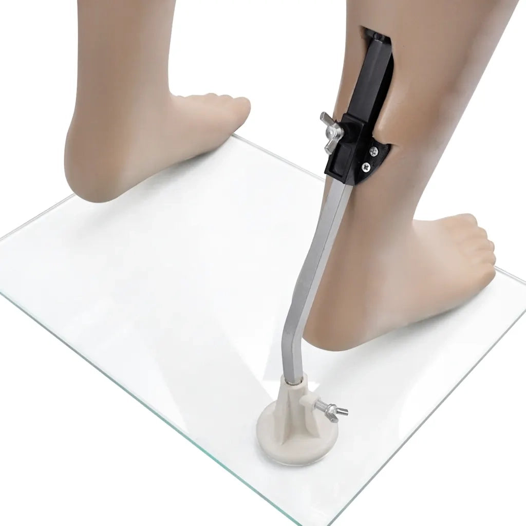 Manichino Uomo con Testa Arrotondata CFW8408385