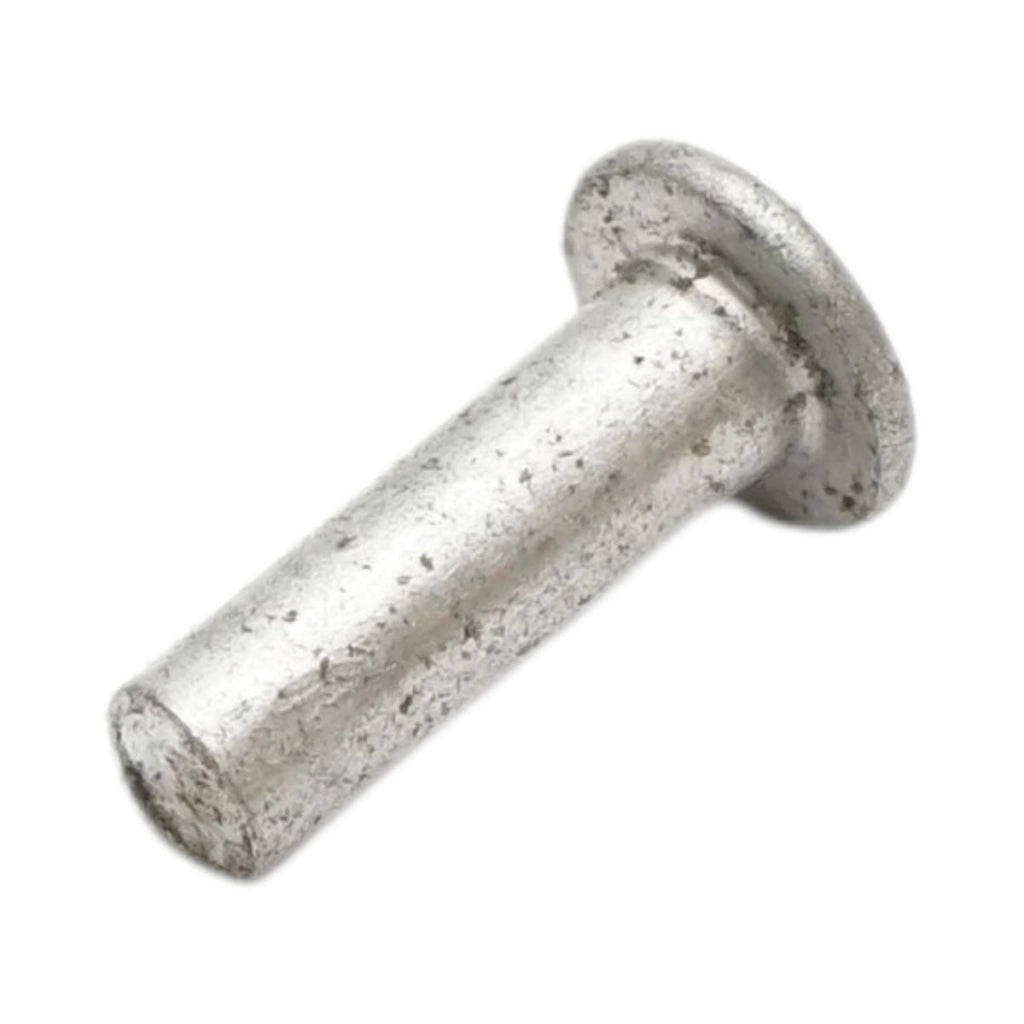 Set di 100 rivetti per pastiglie freno Fiat, New Holland, Massey Ferguson 16x4,5mm codice OEM 850197, MF05-0042